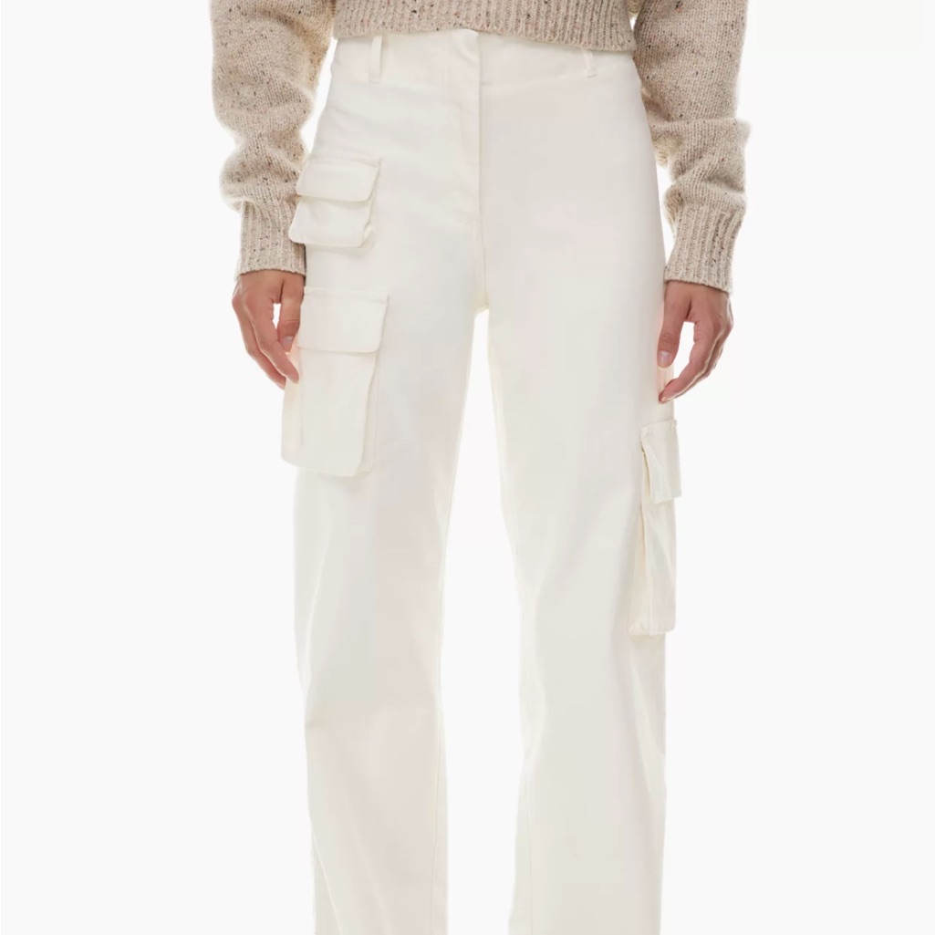 Aritzia Wilfred Picture Pants Cargo